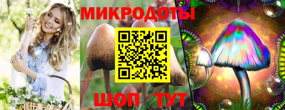 Жуковский  Псилоцибиновые грибы Psilocybine cubensis  Вход с VPN 